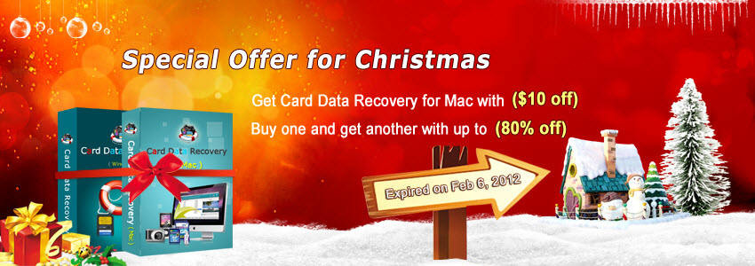 Special Offer for Christmas